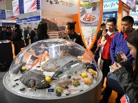 中国渔博会青岛开幕 51个国家和地区的1500多家企业参展