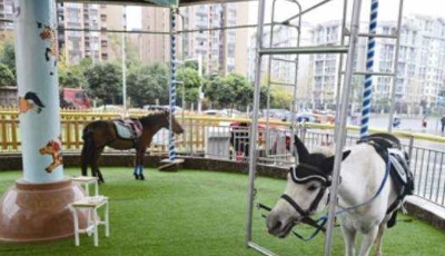 成都“旋轉(zhuǎn)真馬”游樂項目引爭論 目前已暫停營業(yè)