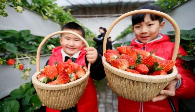 （700字說70年）70年，中國人就業從以農為主躍升為二三產業為主