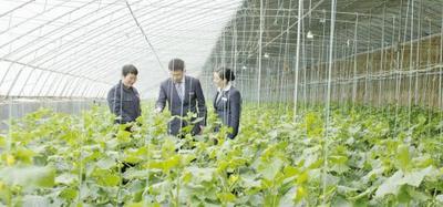 青岛银行斩获“金龙奖”双项大奖