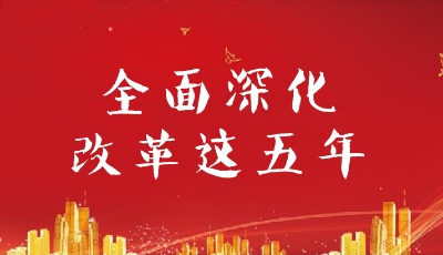 推動綠色發展 建設美麗中國——十八屆三中全會以來全面深化生態文明體制改革綜述