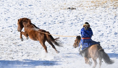 茫茫雪原，馬背民族“露絕活”