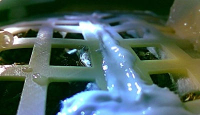 嫦娥四號生物科普試驗(yàn)載荷中的棉花種子發(fā)芽