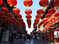 燈籠紅 年味濃