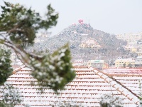 雪后島城似童話世界