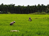 時維初春 田間農忙