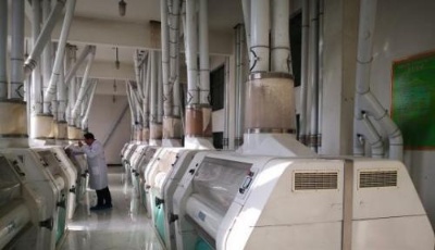 兩會前瞻：改革開放新節點 中國民企賡續前行