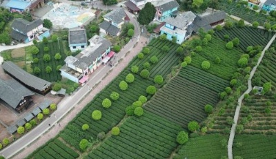 兩會特別報道:凝聚起上下同心、團結(jié)奮進的磅礴力量