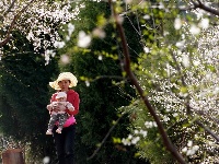 春日尋芳 多彩山鄉