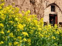 春日尋芳 多彩山鄉