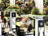 紐約：花“開”梅西百貨