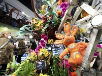 紐約：花“開”梅西百貨