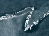 組圖：春臨青海湖