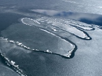 組圖：春臨青海湖
