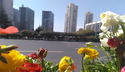 交通部:明年起ETC單卡用戶不再享受通行費優惠