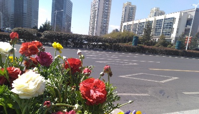 農(nóng)民收入增長6.6%！上半年農(nóng)業(yè)農(nóng)村經(jīng)濟穩(wěn)中向好