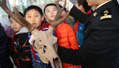 国门生物安全进校园