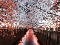 世界地球日：我們美麗的家