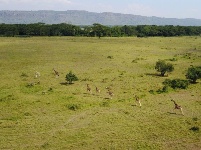 世界地球日：我們美麗的家
