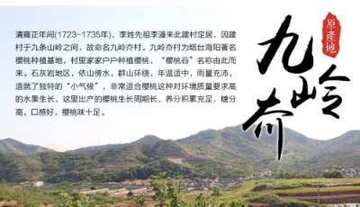 你叫不出名字的這個膠東小村，剛剛在聚劃算“團”出了全村的希望