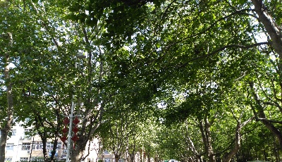 提高行政效能竭力打造一流營(yíng)商環(huán)境！百名企業(yè)家與住建部門(mén)負(fù)責(zé)人“面對(duì)面” 