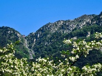 東岳泰山美如畫(huà)