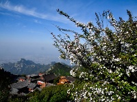 東岳泰山美如畫(huà)