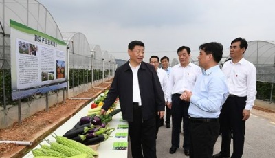 鄉村振興怎么干？習近平明確這些要點