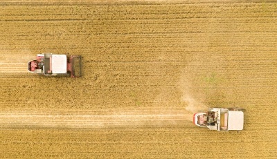 6日7時(shí)6分“芒種”：家家麥飯美，處處菱歌長