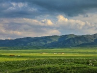 原子城：鮮花開滿草原
