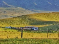 原子城：鮮花開滿草原