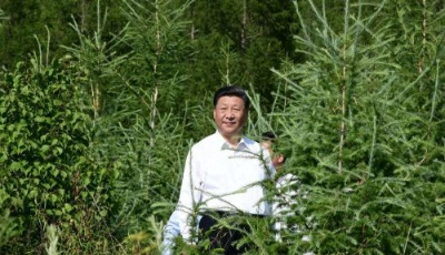 習近平：建設生態安全屏障要世世代代去做