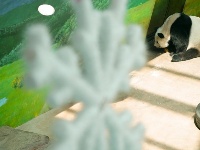 大熊貓姐弟北上 “樂不思蜀”