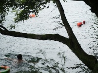 夏日江水享沁涼