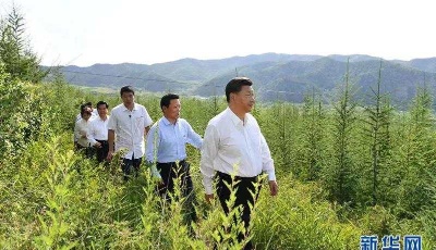 習近平叮囑這件事：決不能有停一停歇一歇的想法