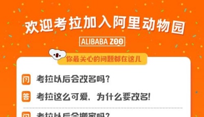 阿里巴巴與網易達成戰略合作 20億美元全資收購考拉并領投網易云音樂