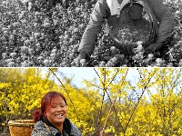 70年時光流影 70行見證發(fā)展