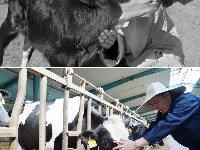 70年時光流影 70行見證發(fā)展