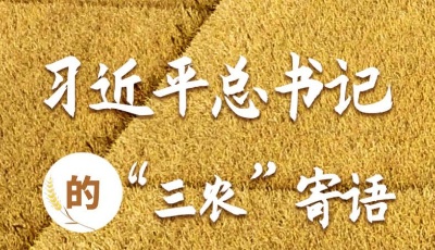 習(xí)近平總書記的“三農(nóng)”寄語