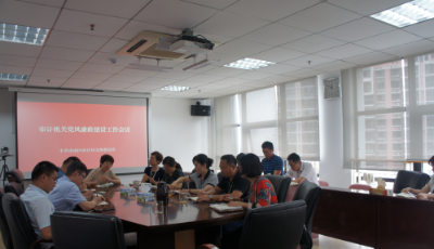 市南区审计局借廉政党课 铸务实作风