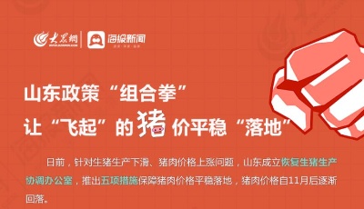 山東政策“組合拳” 讓“飛起”的豬價平穩“落地”