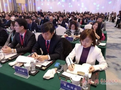 观象山｜北方第二！青岛正在成为独角兽茁壮成长的热带雨林！ 