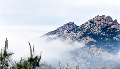 李子柒視頻海外走紅怎么看？