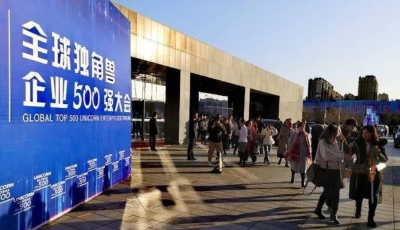 2020山東瞪羚獨角獸企業開始申報！滿足這些條件的,重點支持