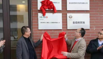 研發(fā)推廣高效利用太陽能作物 中科禾元落戶院士智谷