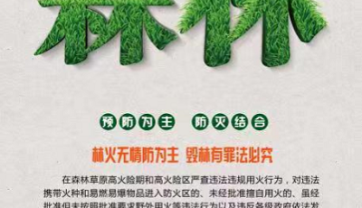 【公益廣告】森林火災(zāi)重防范 嚴(yán)控火源是關(guān)鍵