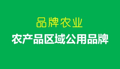 這就是山東|數(shù)量全國第一！山東打造農業(yè)品牌不靠講“故事”