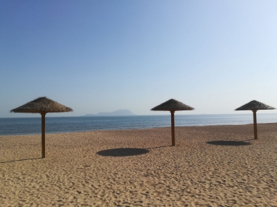 如何保护和激发中小企业活力？权威业内人士“把脉”建言