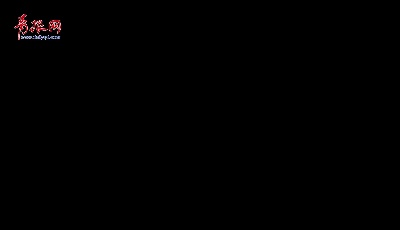 《棧橋走秀》