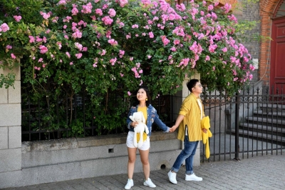 【青岛金融2019年度钜献③】直接融资规模再创新高 创投风投创下历年之最